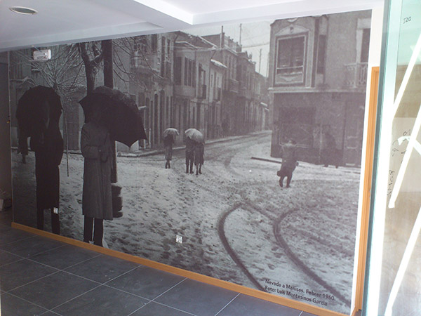 Mural decorativo en vinilo 5